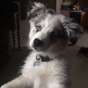 Meet your Posher, Evan